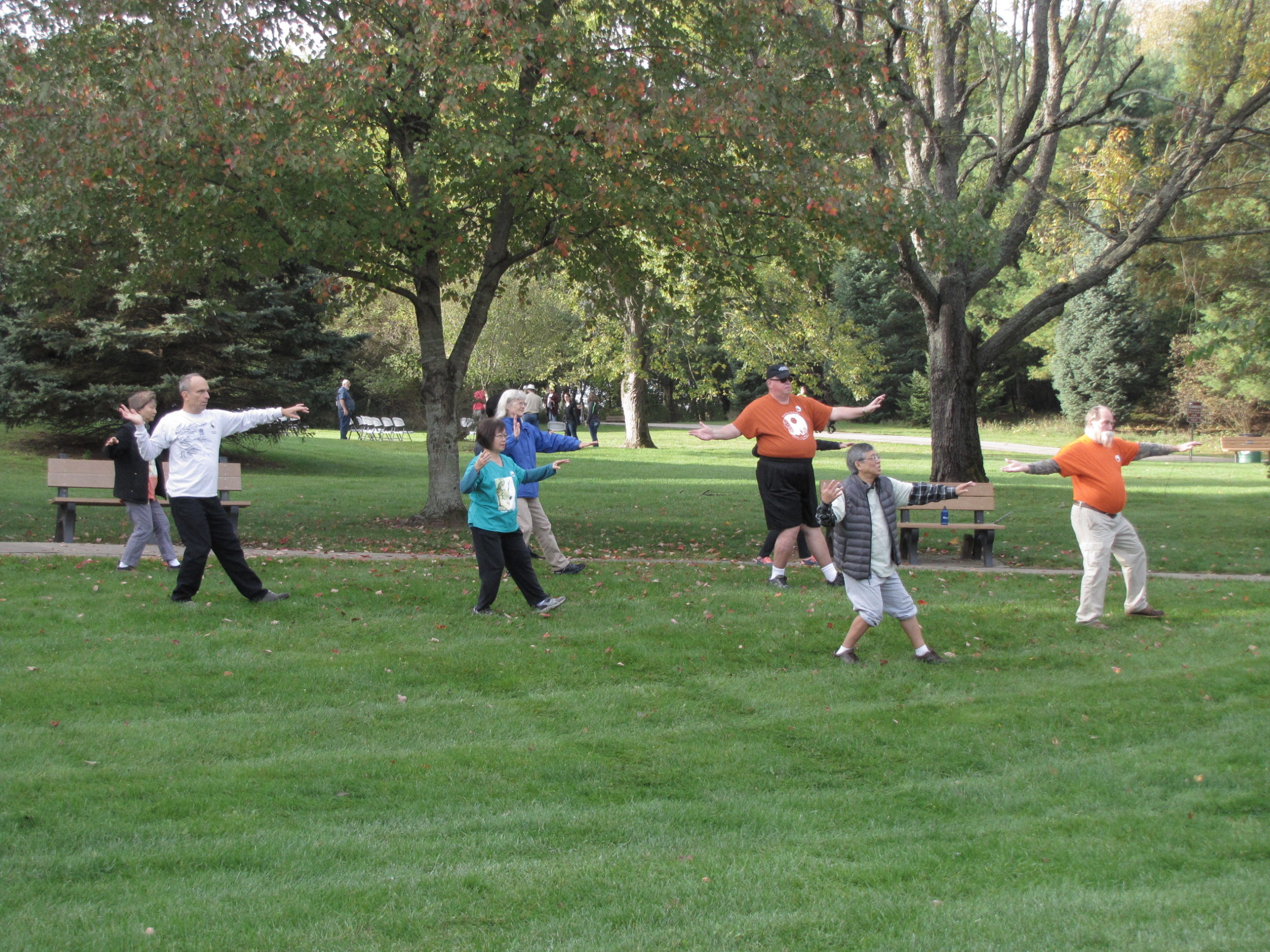 Tai Chi at MPF 2017