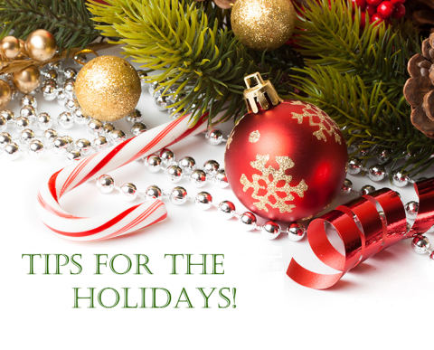 Read more about the article Holiday Tips for Parkies